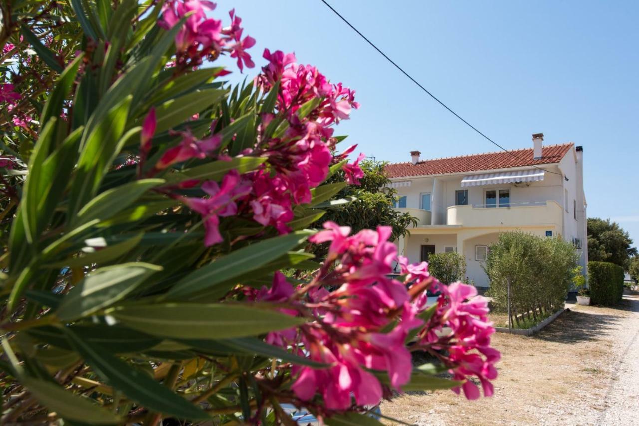 Apartments Maco بيتريتْشاني المظهر الخارجي الصورة